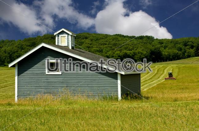 house in meadow